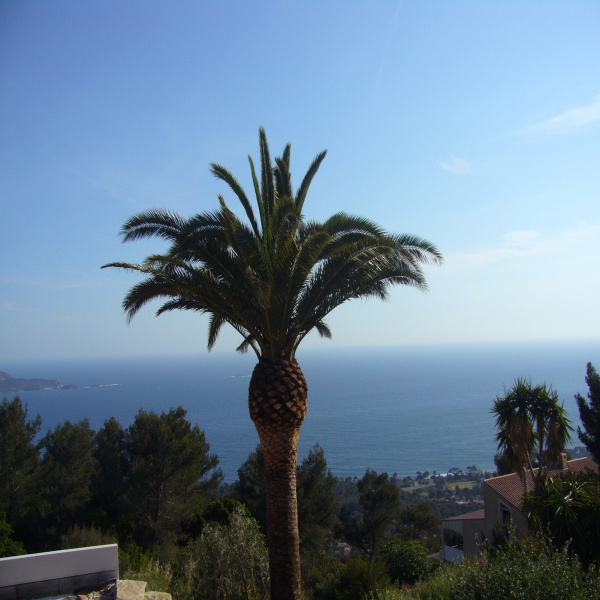 Offres de vente Terrain Carqueiranne 83320