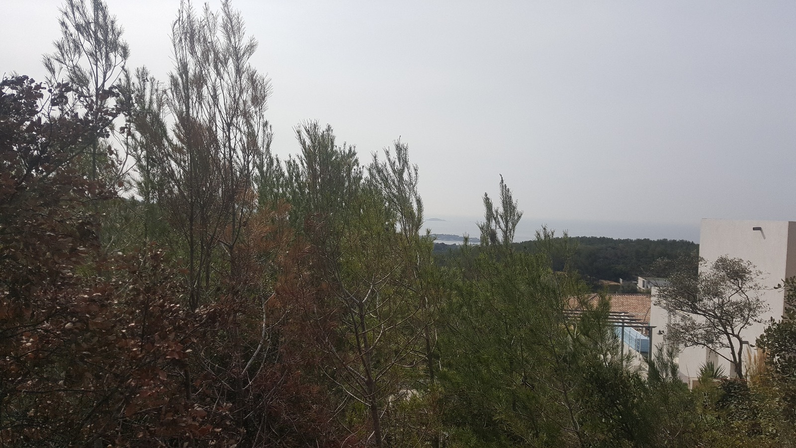 Offres de vente Terrain Bandol 83150
